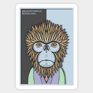 Golden Snub Nosed Monkey Sticker